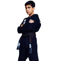 Teens and Adult Martial Arts